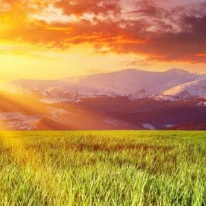 Meet your Posher, Renea